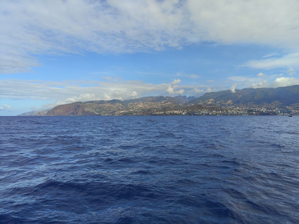 Ocean views during a whale and dolphin watching tour in Madeira.