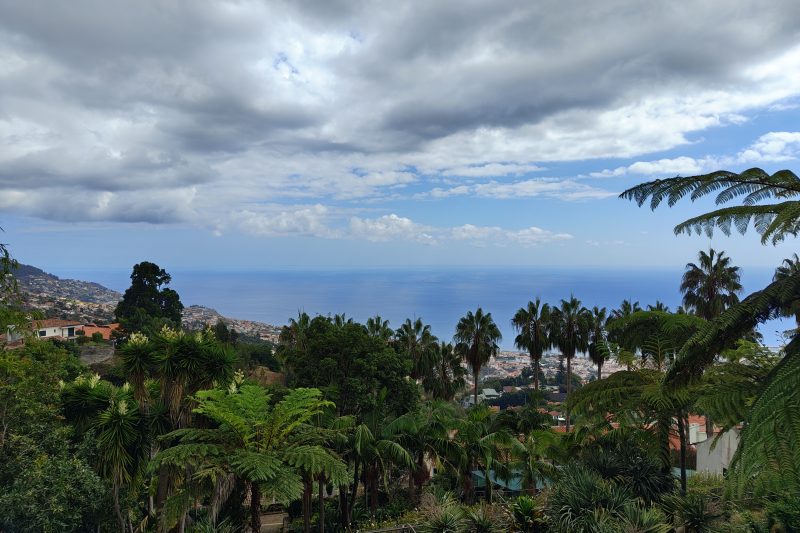 Best Things to Do in Funchal: Complete City Guide