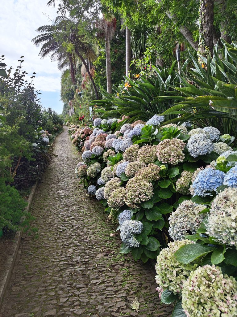One paved road from Monte Palace Tropical Garden, Funchal, Madeira.