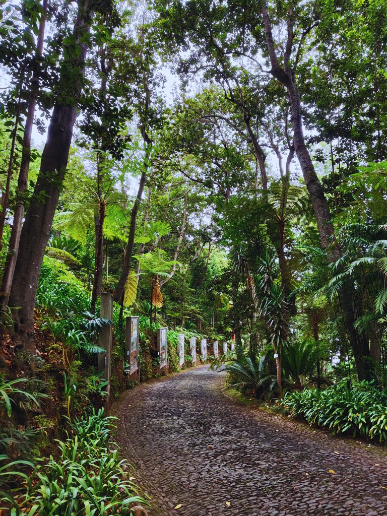 A scenic pathway through the lush greenery of Monte Palace Tropical Garden in Madeira.