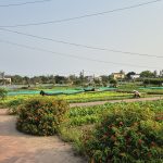 Cycling through Tra Que Vegetable Village during a 6-day Hoi An itinerary