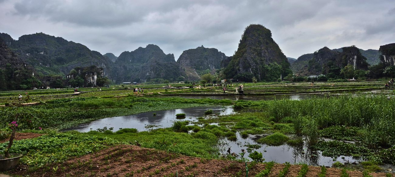 Panoramic view of rice fields and limestone mountains from Mua Cave in Ninh Binh, Vietnam