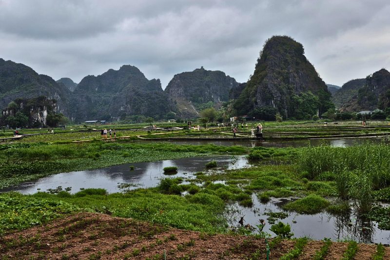 Best Things to do in Ninh Binh: Complete First-Timer’s Guide